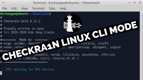 Connect your iPhone or iPad to a PC or Mac using a USB-A cable. . Run checkra1n in cli mode on mac